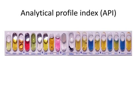 analytical profile index